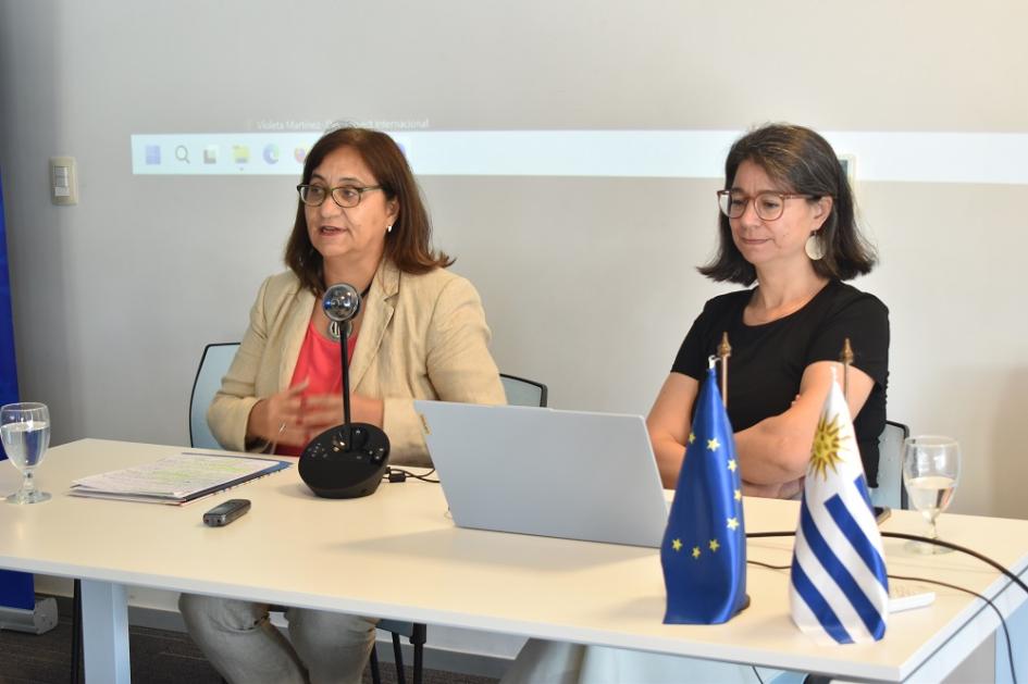 Reunión de equipos que trabajan en proyectos en el marco de la cooperación triangular UE - AUCI