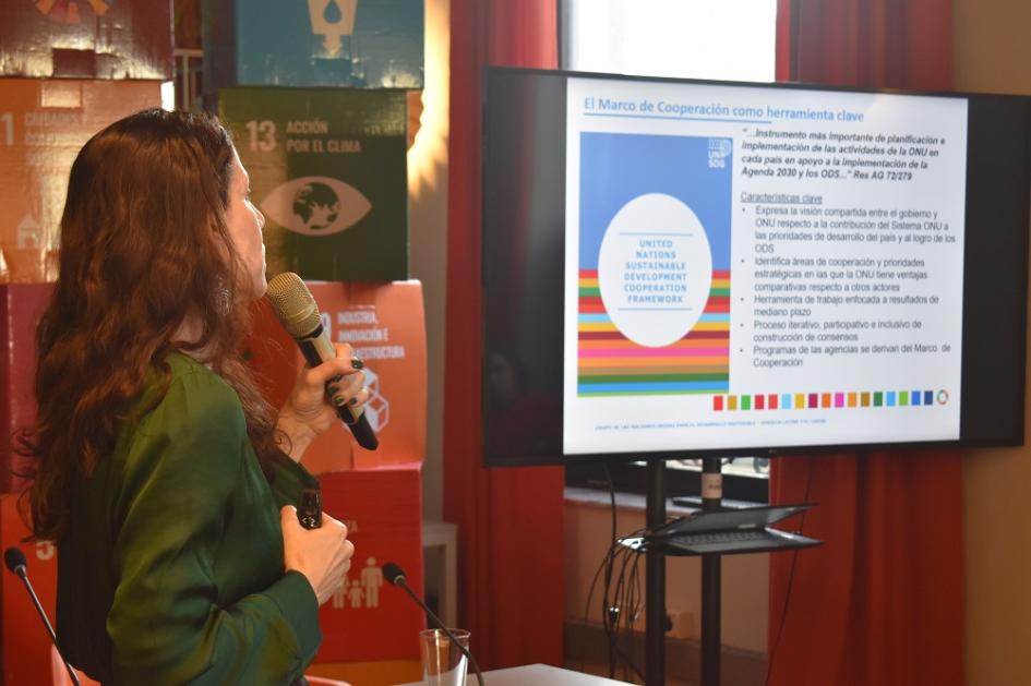 Técnicos trabajan en la construcción del Marco de cooperación entre Naciones Unidas y Uruguay