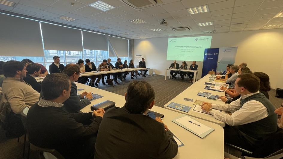 Reunión de integrantes de PIPAs de la Cooperación Iberoamericana Reunión de integrantes de PIPAs de la Cooperación Iberoamericana