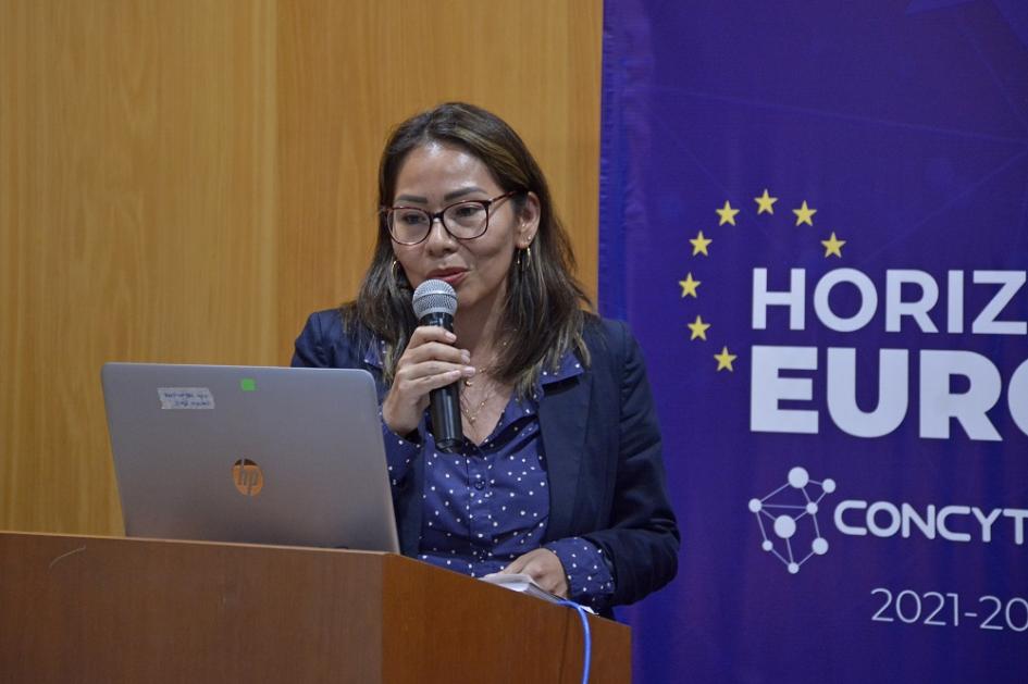 Talleres Programa Horizonte Europa en Lima, Perú. Talleres Programa Horizonte Europa en Lima, Perú.