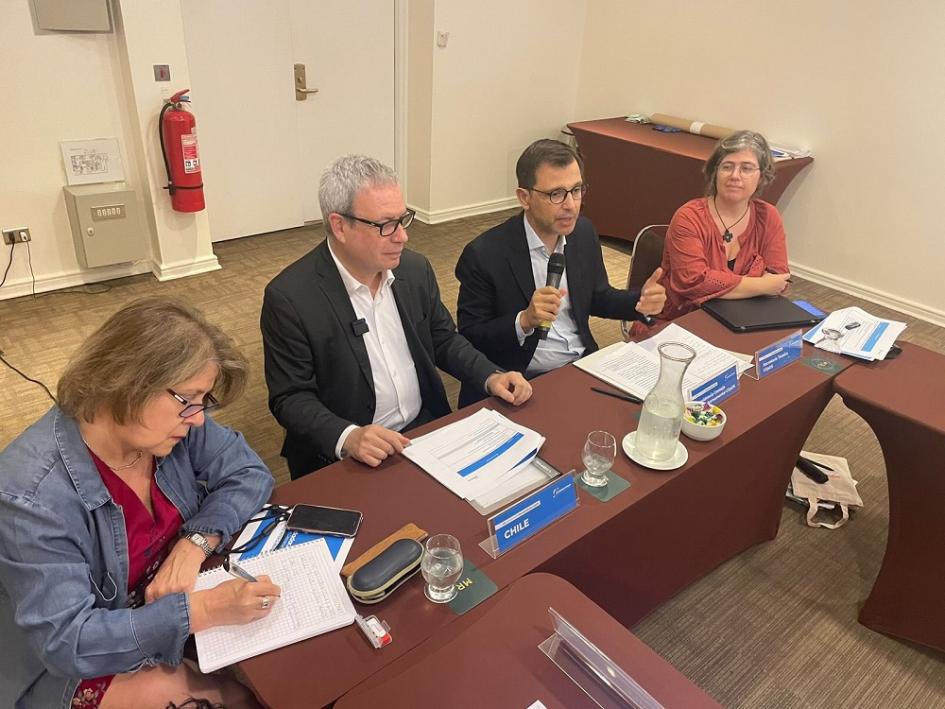 Encuentro de integrantes de CGpDS en Santiago de Chile