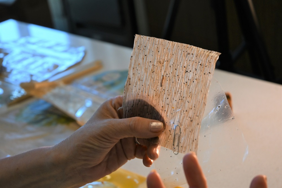 Entrevista la profesora, Mary Lopretti, en Facultad de Ciencias de la UdelaR.