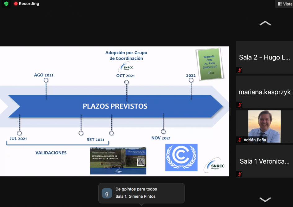 Presentación Presentación
