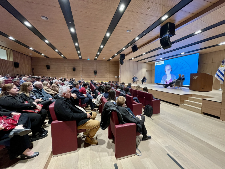 Presentación del Consejo Internacional de Observación y Cooperación Presentación del Consejo Internacional de Observación y Cooperación