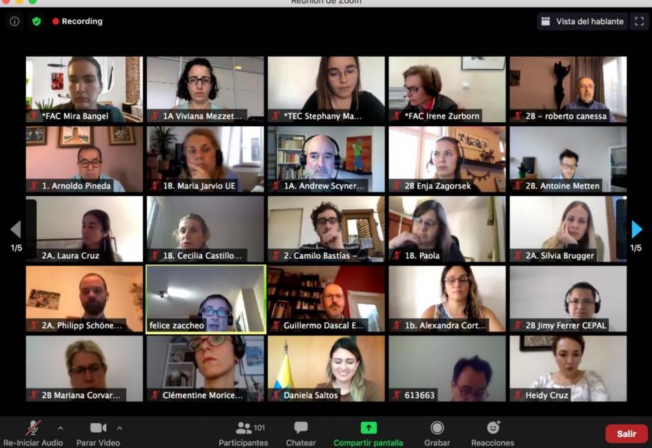 Reunión virtual EUROCLIMA+ Reunión virtual EUROCLIMA+