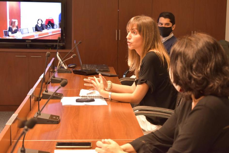 Reunión Plan de Acción 2021 Euroclima plus Reunión Plan de Acción 2021 Euroclima plus