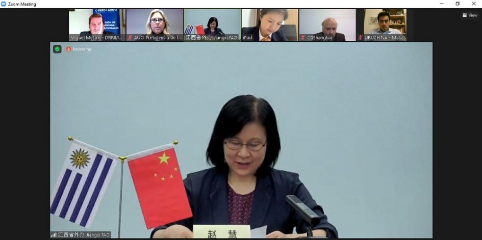 Reunión virtual entre representantes de China y Uruguay Reunión virtual entre representantes de China y Uruguay