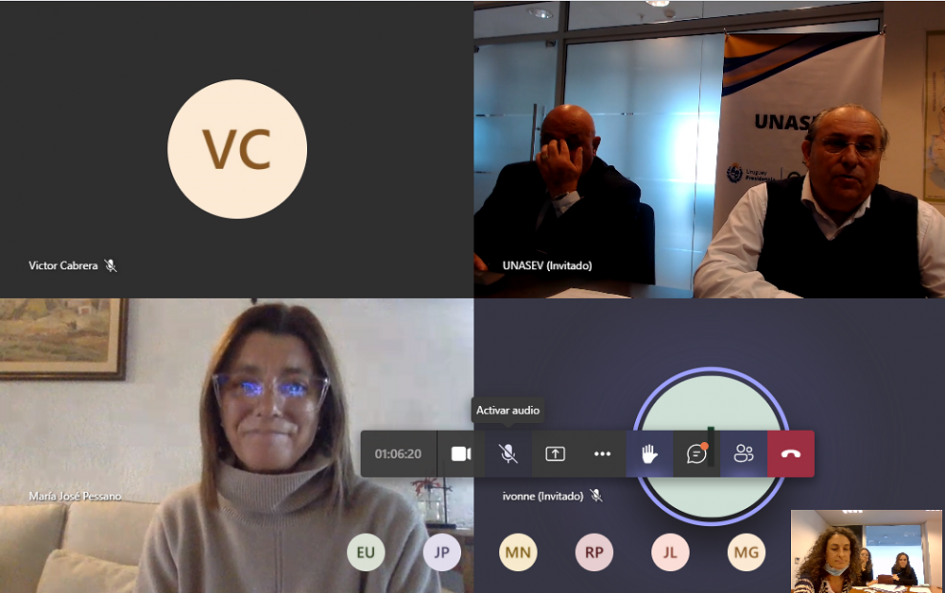 Reunión virtual Reunión virtual