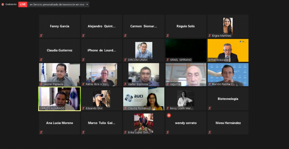 Reunión de trabajo virtual Reunión de trabajo virtual