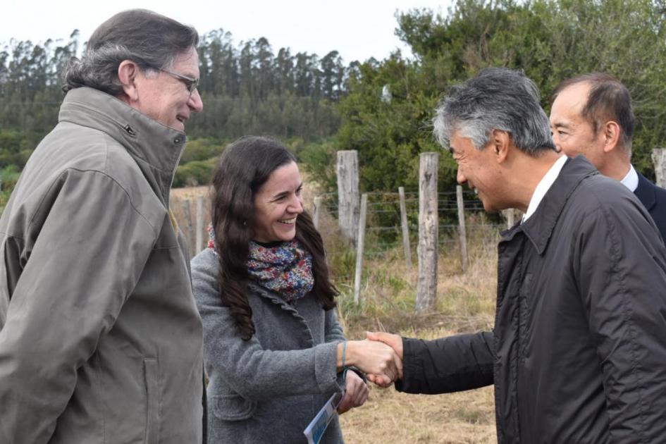 Virginia Renau, sectorialista de AUCI Virginia Renau, sectorialista de AUCI