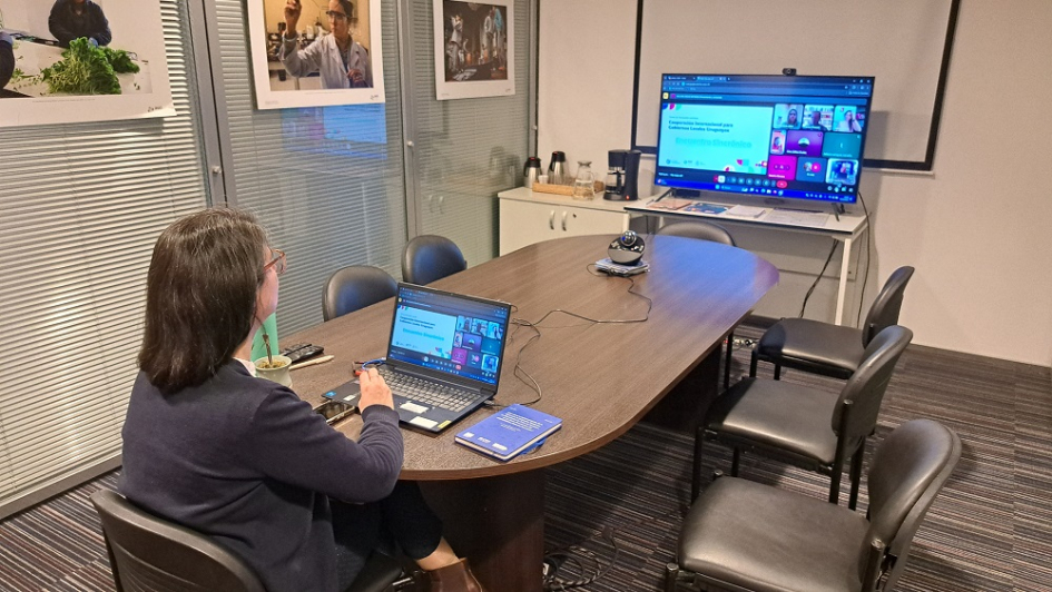 Reunión virtual con representantes de municipios