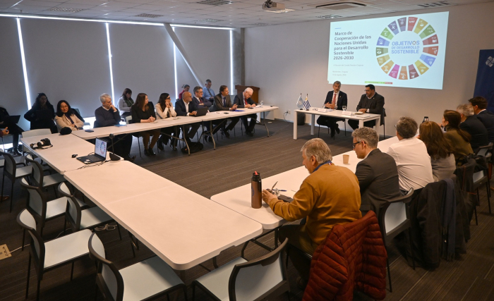Primera reunión del Comité Directivo Conjunto del Marco de Cooperación 2026-2030