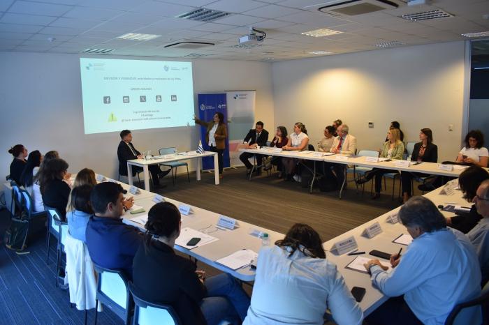 V Encuentro de puntos focales de los PIPAs de la cooperación iberoamericana