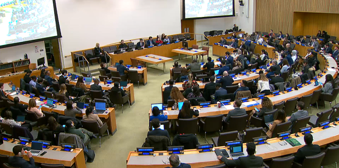 Sesión de la Junta Ejecutiva del PNUD, UNFPA y UNOPS del 5 de febrero, 2026