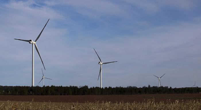 Uruguay rumbo a una estrategia nacional en bioeconomía