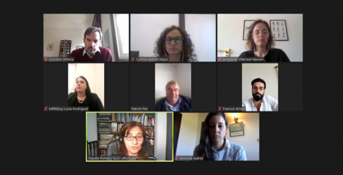 Reunión de trabajo virtual