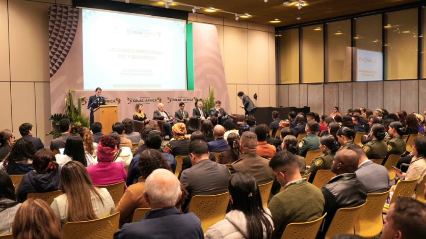 Panel 1: Construcción de paz desde un enfoque institucional y policial.