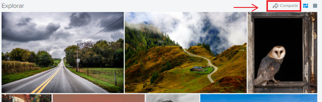 compartir en flickr