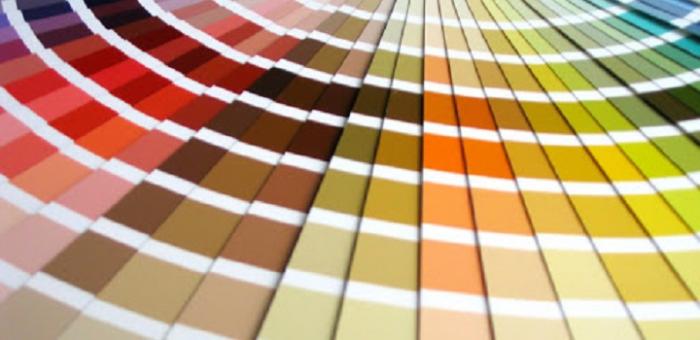 paleta de colores estandar