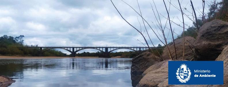 Laguna Merin