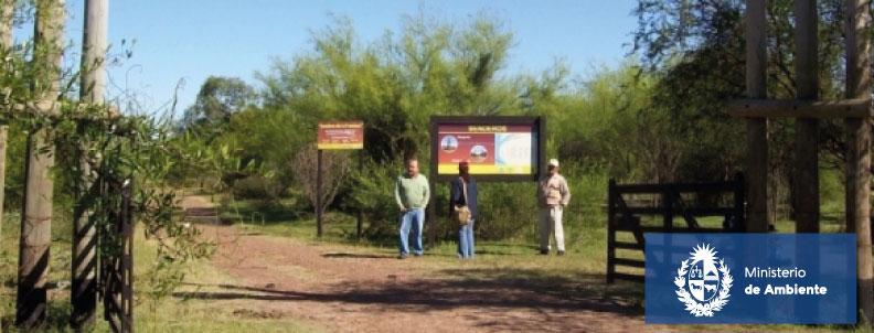 CAE Rincón de Franquia
