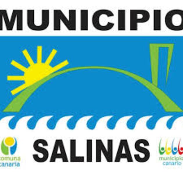 Logo Salinas