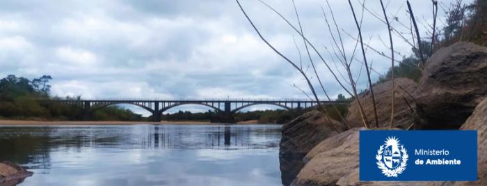 Laguna Merin