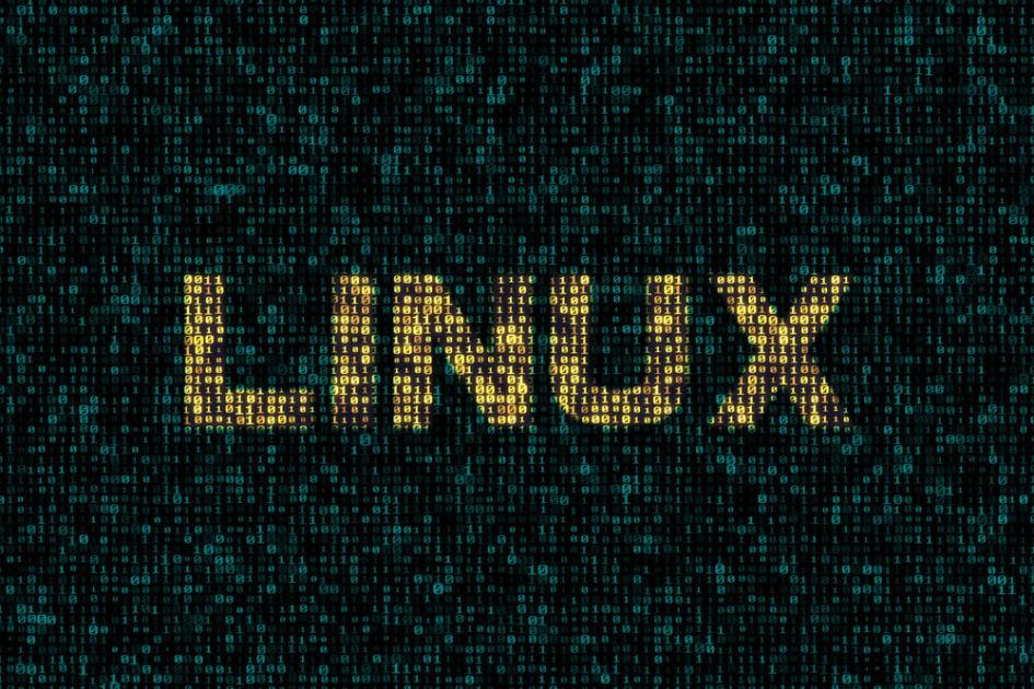 Palabra linux