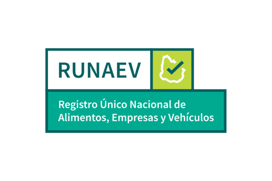 Logo Runaev
