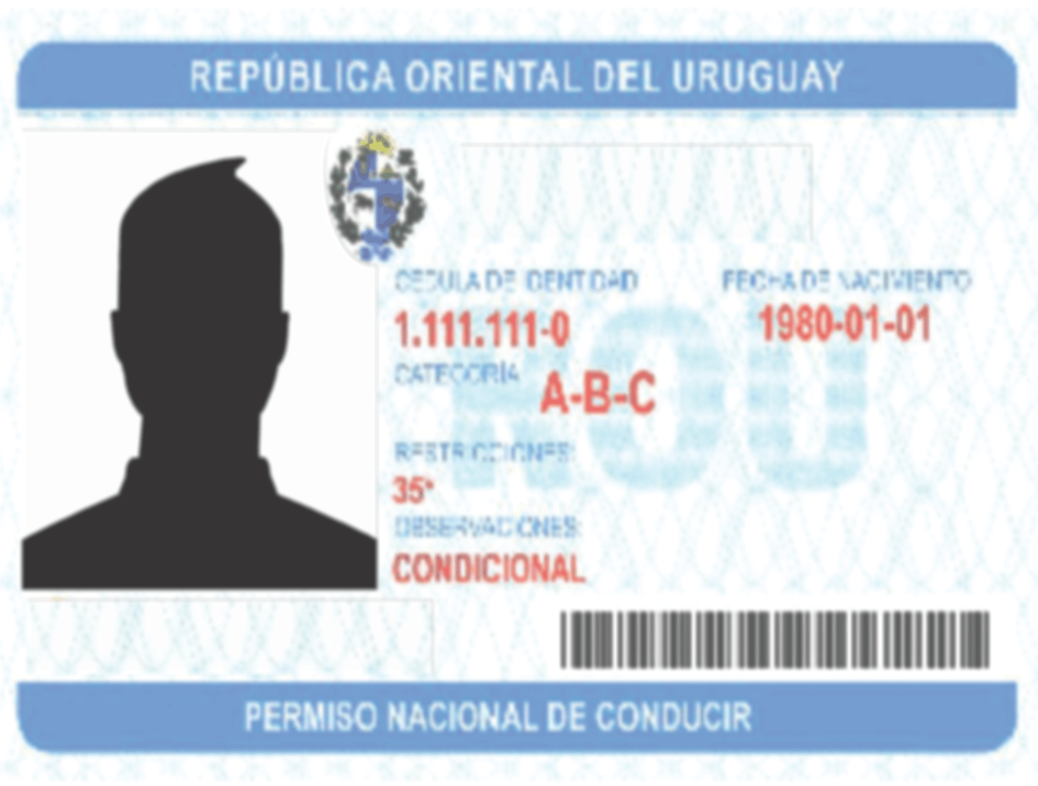 Punc Muestra de Licencia de Conducir