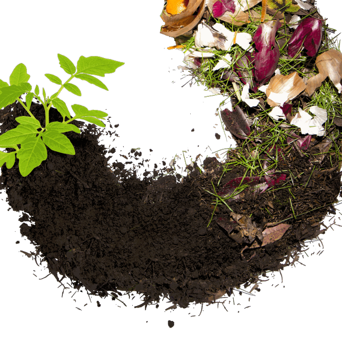 Compost