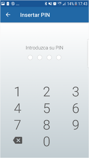 Pin