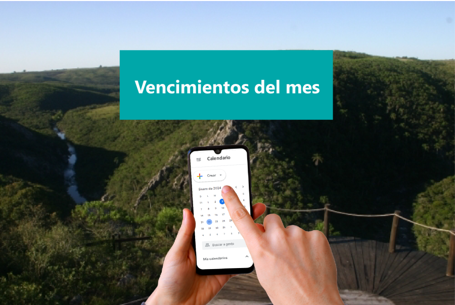 Vencimientos del mes