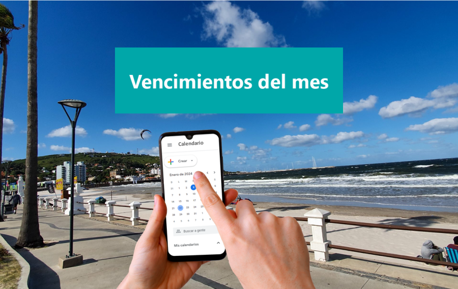 Vencimientos del mes