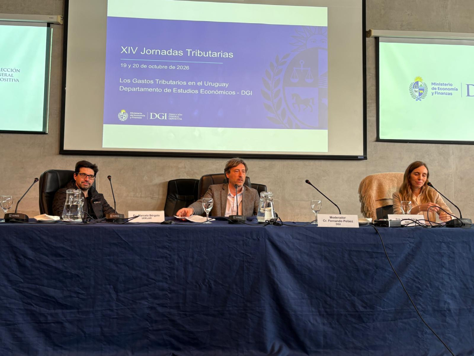 Panel Economía y Finanzas Públicas 