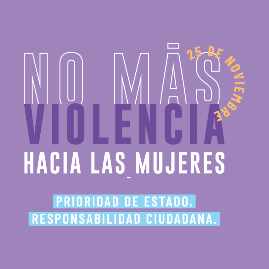 Imagen conmemorativa del 25 de noviembre
