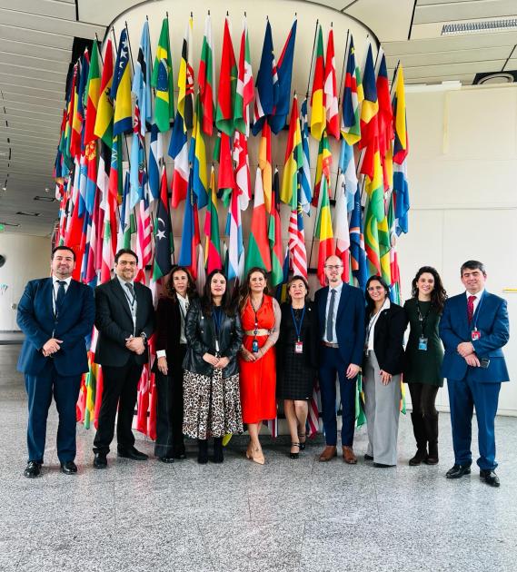 Reunión de Expertos en Materia de Equipos conjuntos de Investigación en Delitos de Narcotráfico Reunión de Expertos en Materia de Equipos conjuntos de Investigación en Delitos de Narcotráfico
