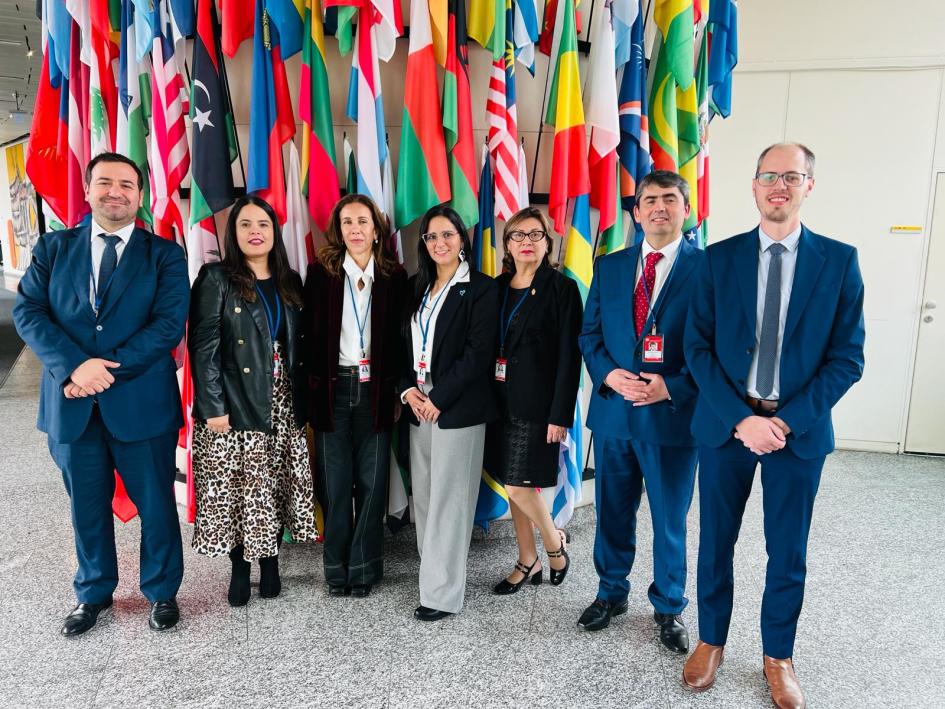 Reunión de Expertos en Materia de Equipos conjuntos de Investigación en Delitos de Narcotráfico Reunión de Expertos en Materia de Equipos conjuntos de Investigación en Delitos de Narcotráfico