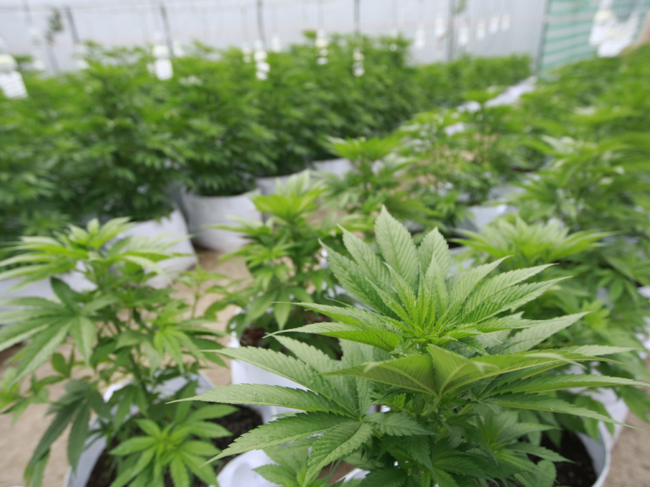 Imagen meramente ilustrativa