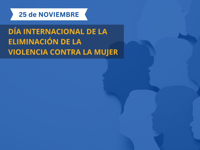 Día Internacional de la eliminación de la violencia contra la mujer