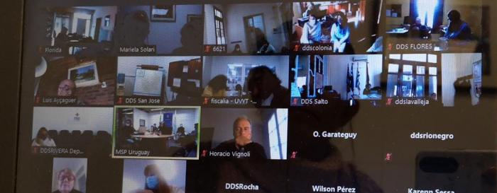 Imagen de la reunión virtual 