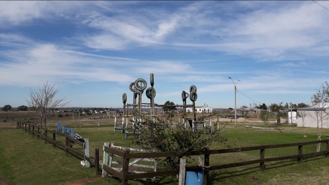 Infancias y adolescencias en el medio rural ""