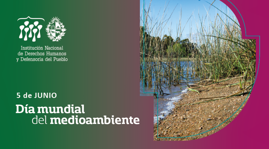 5 de junio: día mundial del medioambiente