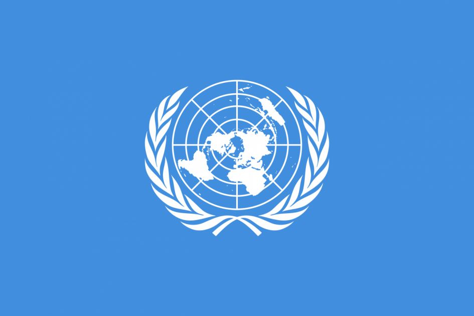 Emblema de las Naciones Unidas Emblema de las Naciones Unidas