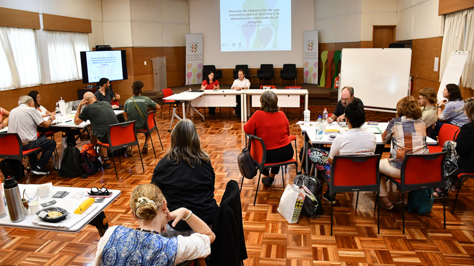 talleres sobre derecho a la alimentación con organizaciones sociales talleres sobre derecho a la alimentación con organizaciones sociales
