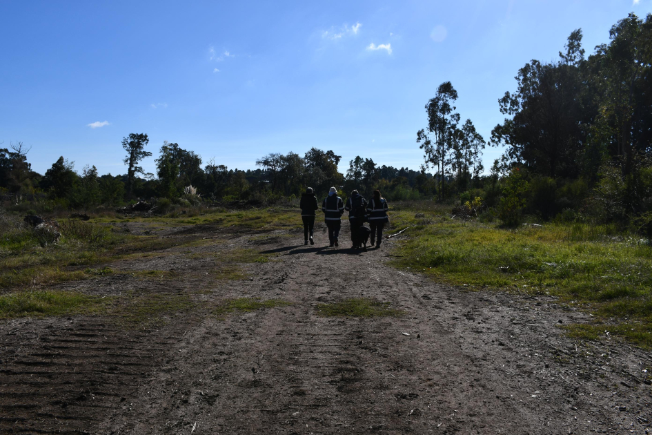 Vista del equipo caminando a la zona de investigación Vista del equipo caminando a la zona de investigación
