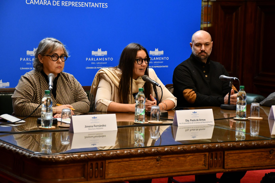 Panel de apertura