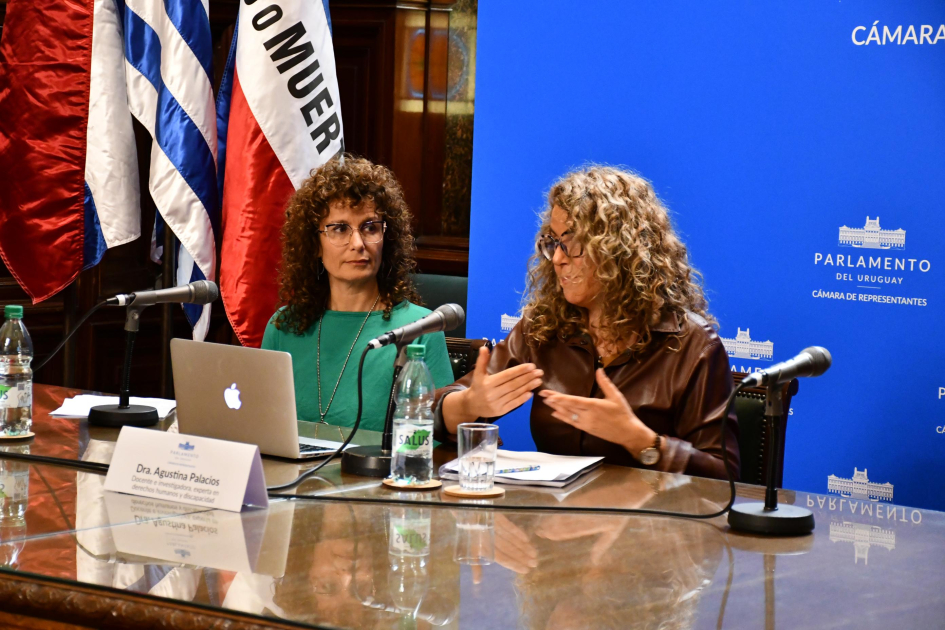 Agustina Palacios, cierre en el Parlamento