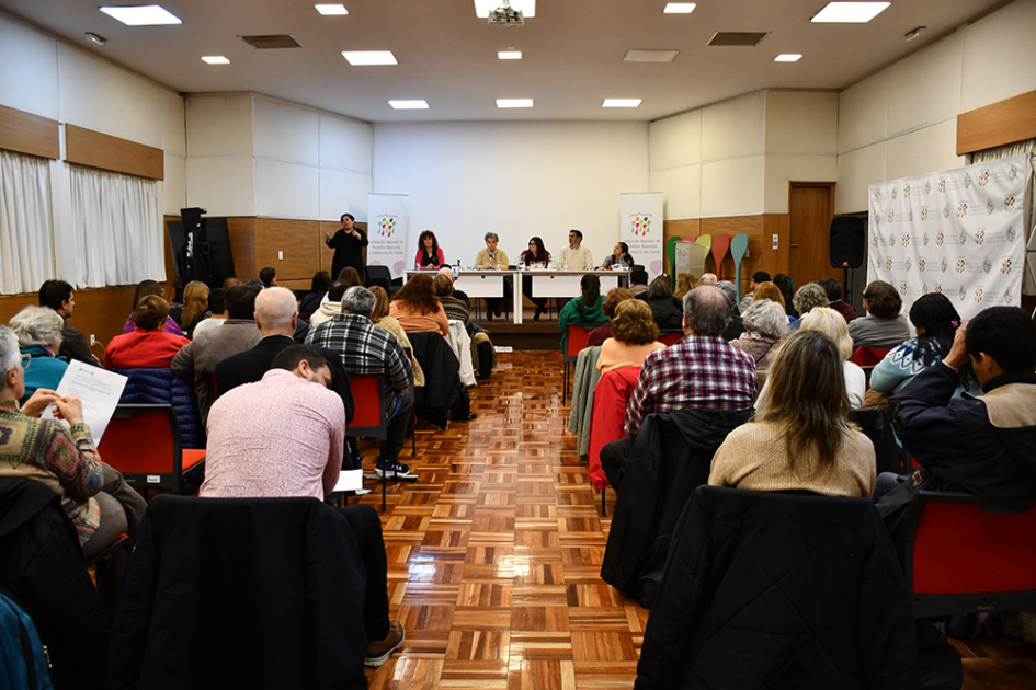 Asamblea del Consejo Asesor Honorario en temas de discapacidad