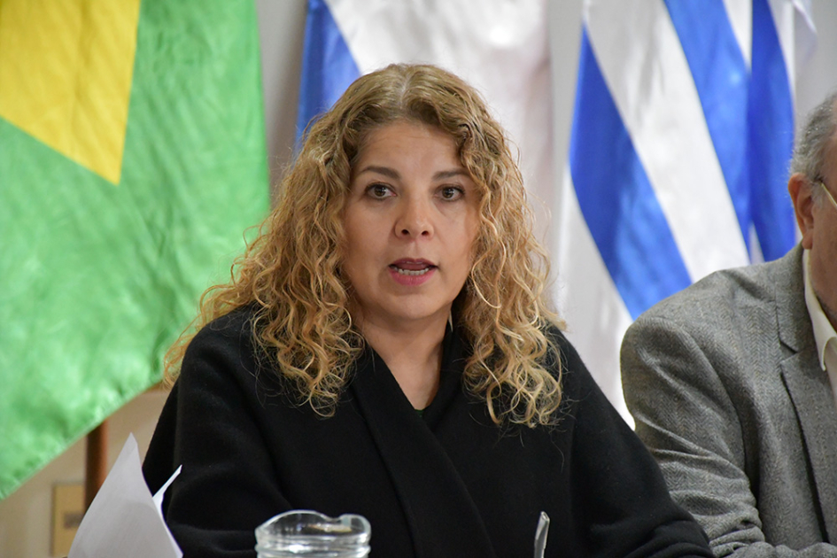 Claudia Barrientos, representante de OEA Claudia Barrientos, representante de OEA
